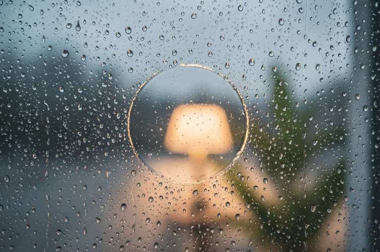 Rain drops on a window Rain on the window